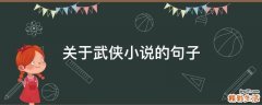 关于武侠小说的句子