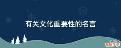 有关文化重要性的名言