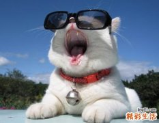秋燥咳嗽不妨试试这些止咳化痰润肺偏方