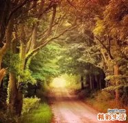 2 烫发后护理注意事项