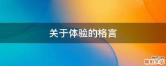 关于体验的格言