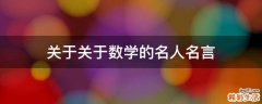 关于关于数学的名人名言
