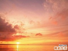 飘拂草