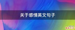 关于感情英文句子