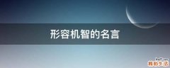 形容机智的名言