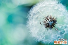 14招 教你过浪漫圣诞节