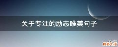 关于专注的励志唯美句子
