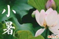 2023年小暑是几点几分,2023年小暑农历