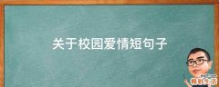 关于校园爱情短句子