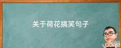 关于荷花搞笑句子