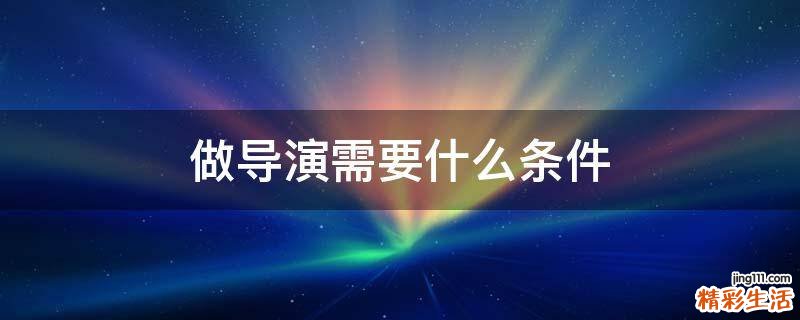 做导演需要什么条件