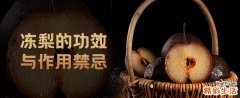 冻梨的功效与作用禁忌 冻梨怎么吃治咳嗽化痰