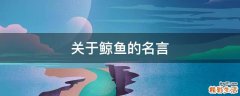 关于鲸鱼的名言