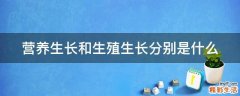 营养生长和生殖生长分别是什么