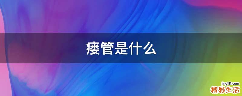 瘘管是什么