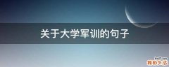 关于大学军训的句子