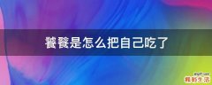 饕餮是怎么把自己吃了