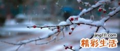 冬天为什么容易上火 冬天干燥上火了吃什么降火最快