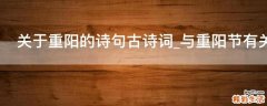 关于重阳的诗句古诗词_与重阳节有关的诗