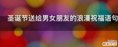 圣诞节送给男女朋友的浪漫祝福语句子