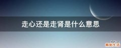 走心还是走肾是什么意思