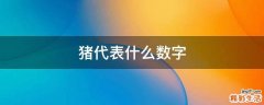 猪代表什么数字