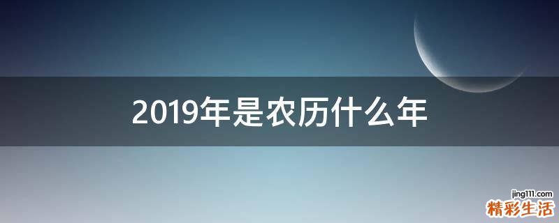 2019年是农历什么年