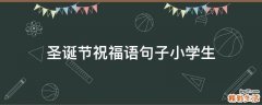 圣诞节祝福语句子小学生