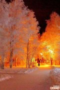 红雪通中散