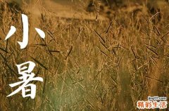 2023年小暑的时间