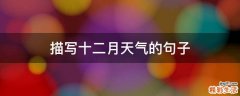 描写十二月天气的句子