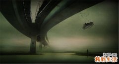 4 雾水葛