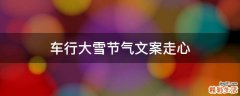 车行大雪节气文案走心