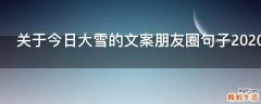 关于今日大雪的文案朋友圈句子2021
