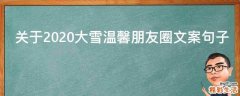关于2021大雪温馨朋友圈文案句子