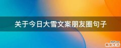 关于今日大雪文案朋友圈句子