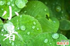 2023年小暑时间几点几分几秒