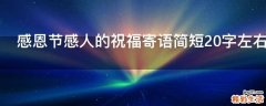 感恩节感人的祝福寄语简短20字左右