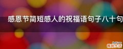 感恩节简短感人的祝福语句子八十句