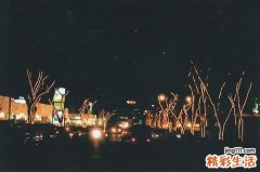 2 专家教你九天快速瘦身的健康饮食法