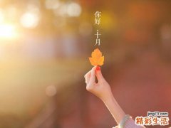 白领丽人职场必杀技：女人不狠地位不稳