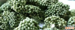 泡三七花的正确方法 三七花泡水喝能降血压吗