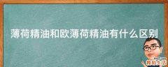 薄荷精油和欧薄荷精油有什么区别