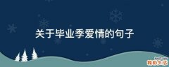 关于毕业季爱情的句子