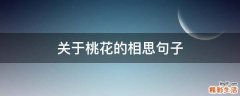 关于桃花的相思句子