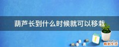 葫芦长到什么时候就可以移栽
