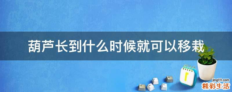 葫芦长到什么时候就可以移栽