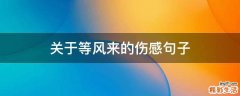 关于等风来的伤感句子