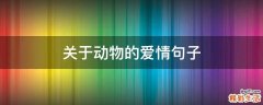 关于动物的爱情句子
