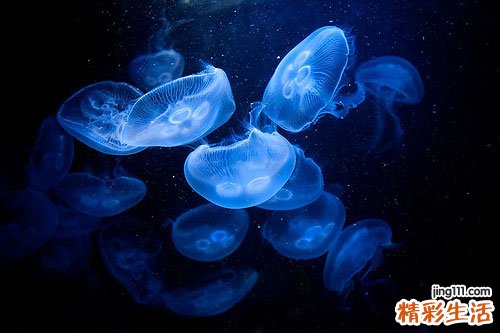脑梗后遗症